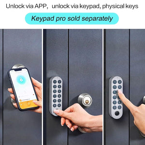 Serratura Smart Porta Blindata Intelligente Smart Door Lock G30 Compatiile Google Alexa