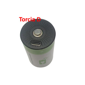 Batterie Torcia D Ricaricabili USB-C 1.5V 4200mAh - Confezione da 2