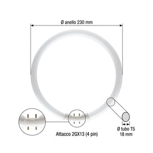 Neon Circolare T5 22W 2GX13 Ø230 mm