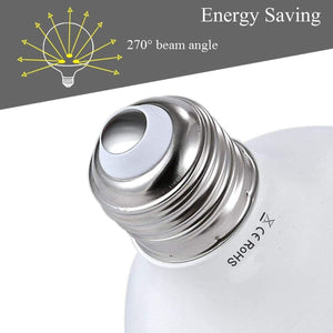 Lampadina Globo Grande E27 24W 2650 Lumen Luce Naturale 4000K