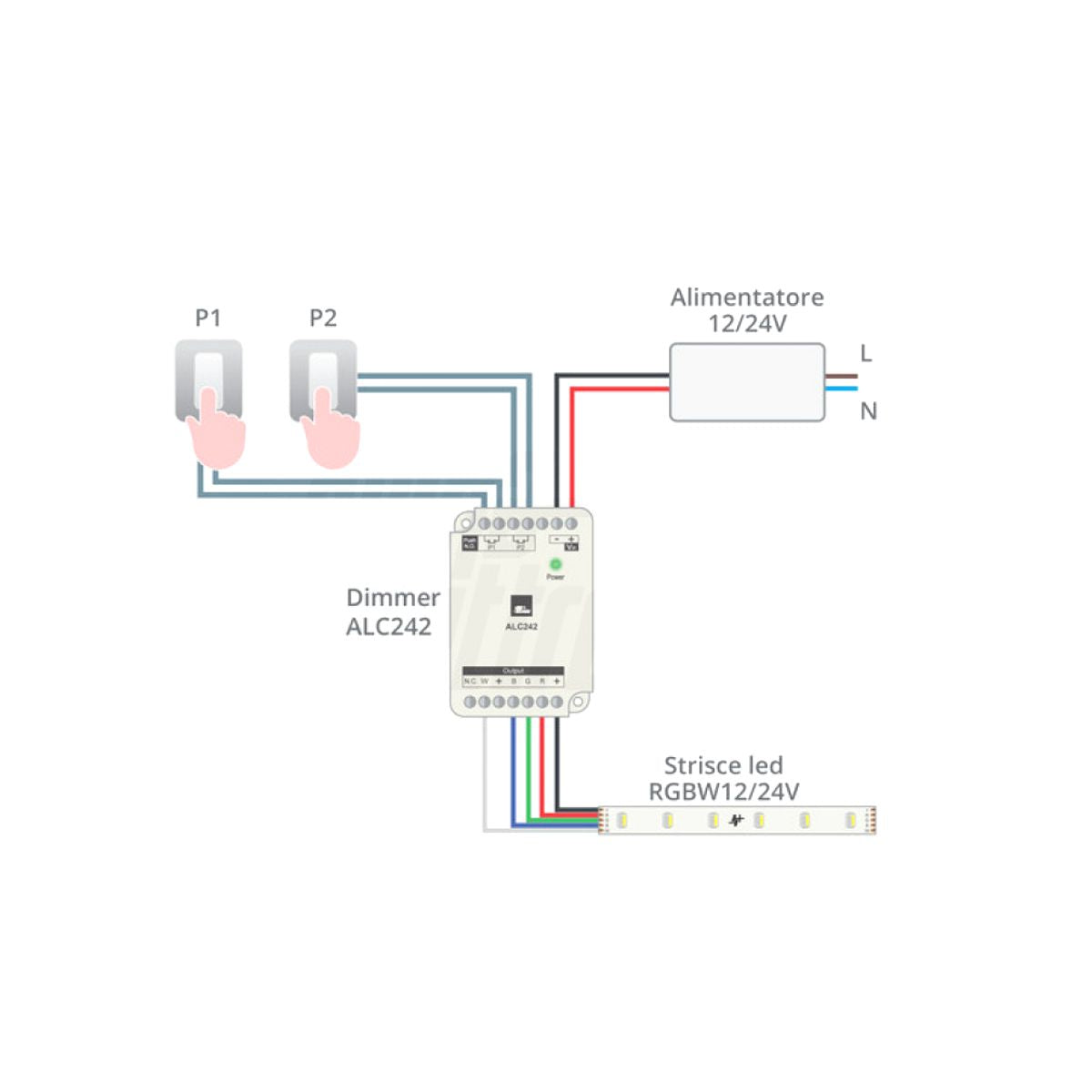 Controller RGBW ingressi pulsanti P1 bianco e P2 colore