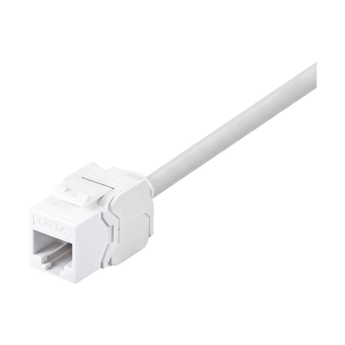 Keystone RJ45 Cat.6 Frutto UTP Crimpaggio Senza Attrezzi Colore Bianco