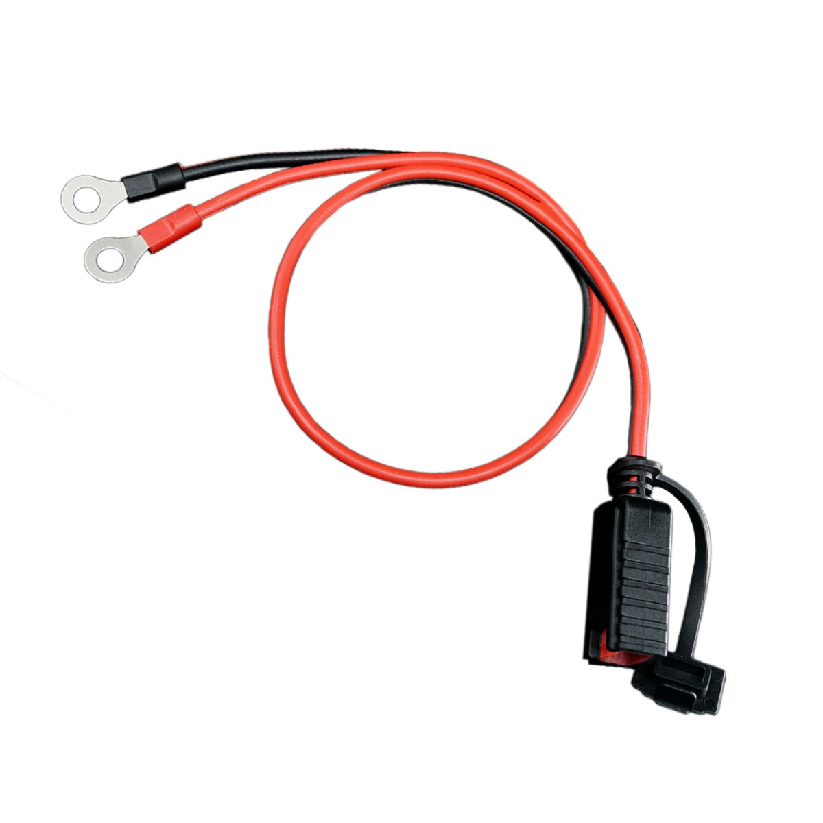 Cavo a Occhielli per Caricabatterie SX-1 e SX-3 - AlcaPower
