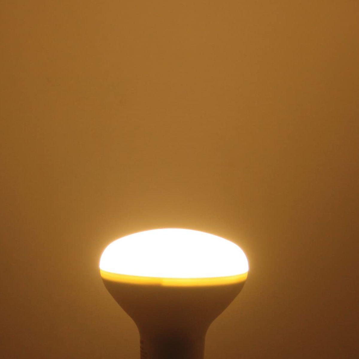 Lampadina a Incandescenza 40W Smerigliata E27 R80 Faretto Reflector